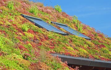 Kirtling living roof systems