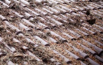 Kirtling roof cleaning companies