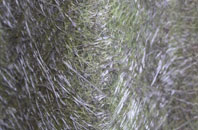 Kirtling fibreglass roof work